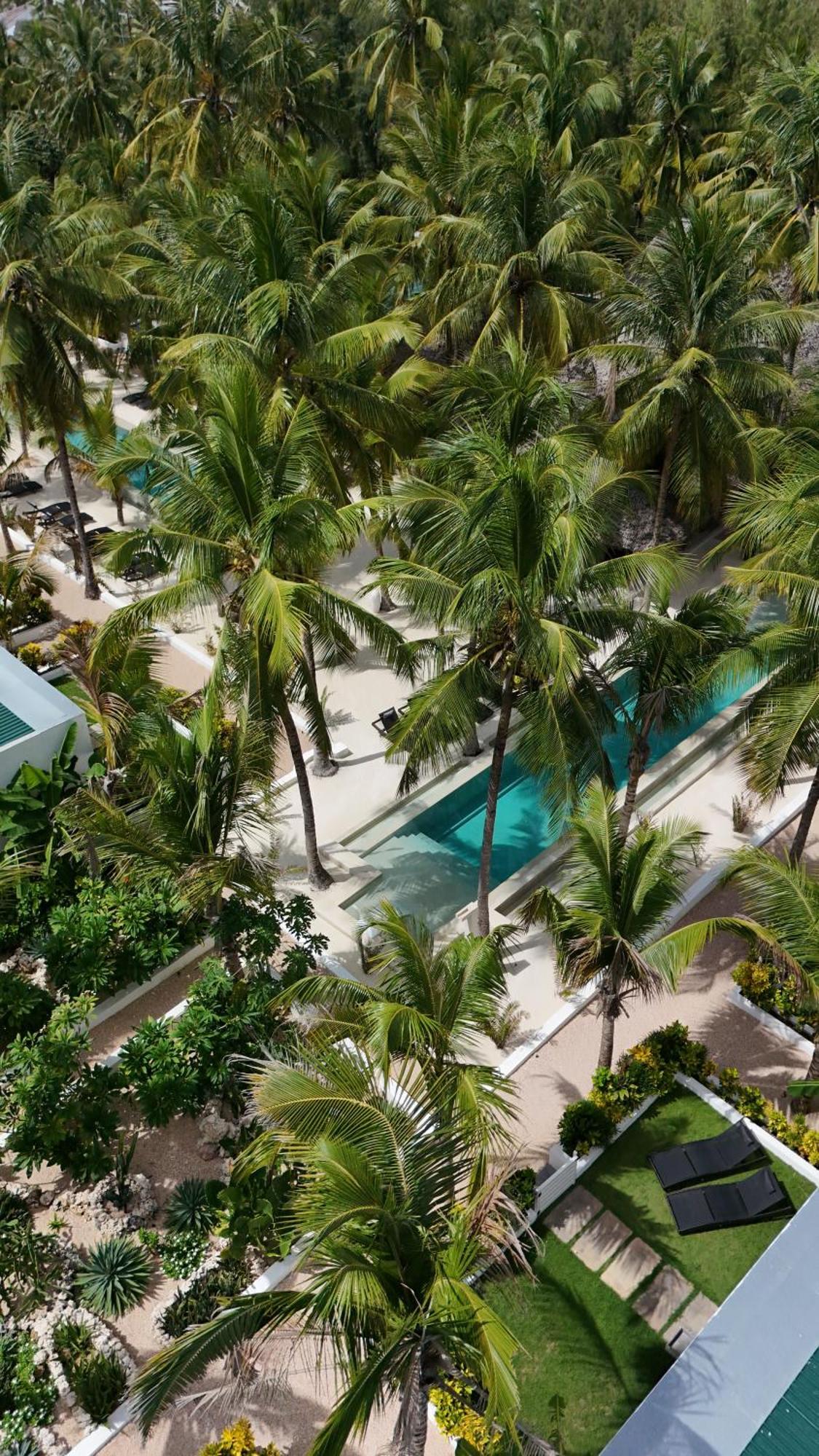The Oasis Residence Jambiani  Bagian luar foto